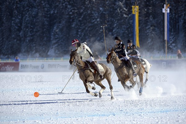 Polo tournament