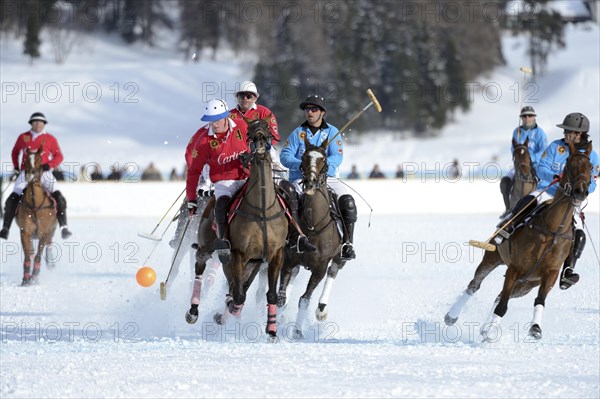 Polo tournament