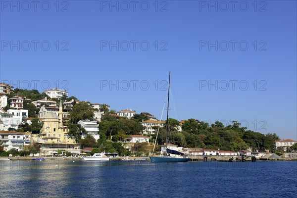 Houses on the coast