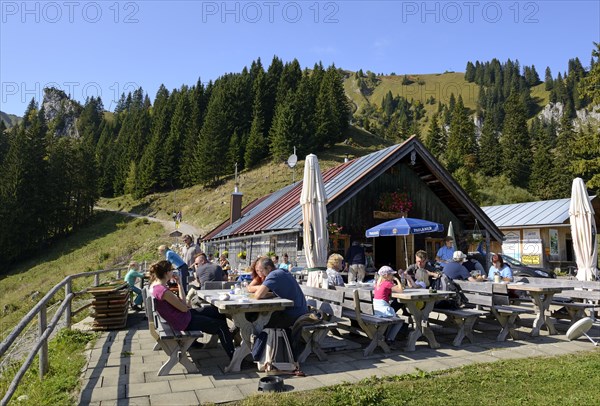 Strasser Alm alpine pasture on Brauneck Mountain