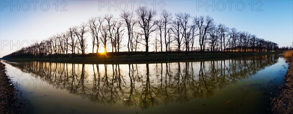 Lime tree avenue at the moat