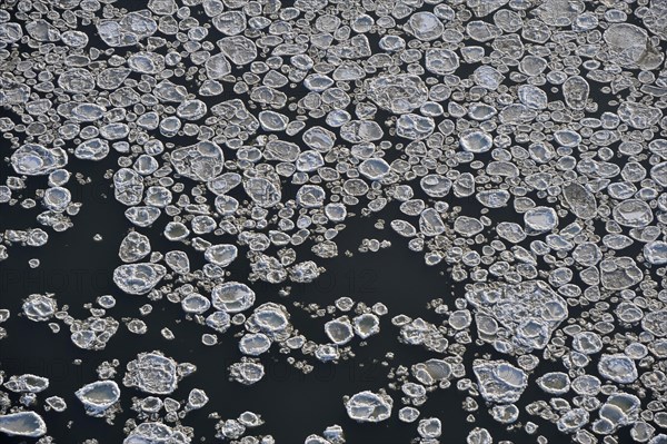 Ice floes on the Elbe River