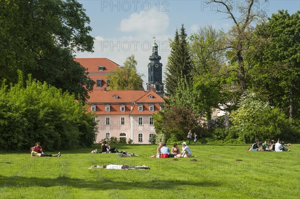 Students resting on the park meadow