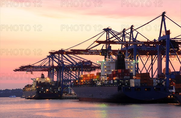 Container ships in the port during loading