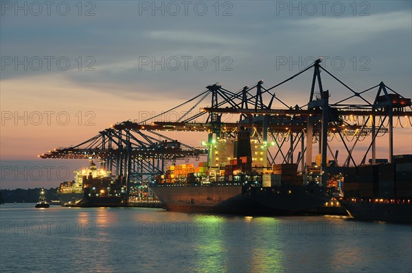 Container ships in the port during unloading