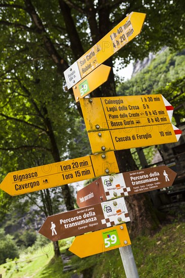 Signposts in Foroglio