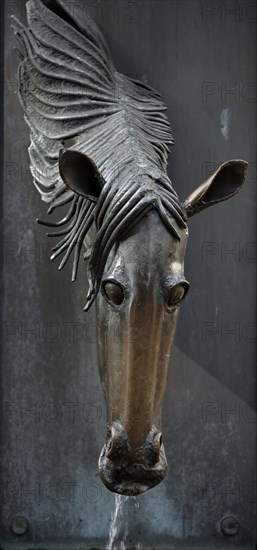 Fountain with horse's head as faucet
