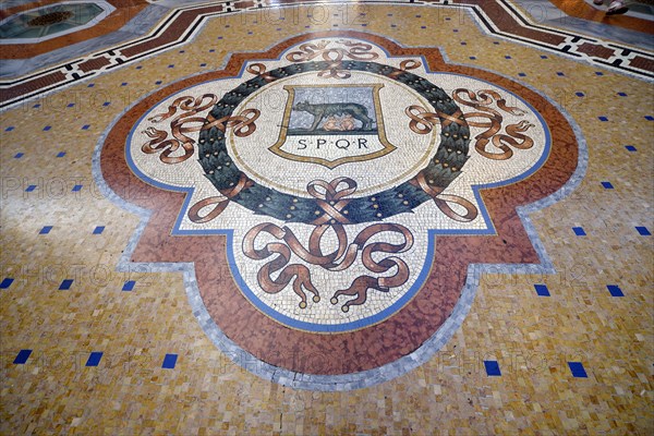 Marble floor mosaic