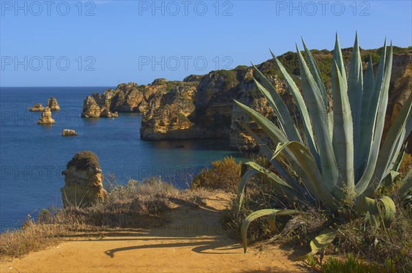 Cliffs at the Praia da Dona Ana beach