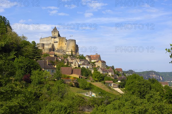 Townscape with Castelnaud Castle