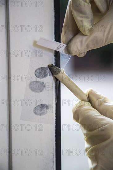 Fingerprints on a window