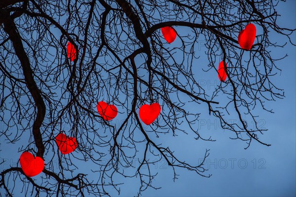 Tree with illuminated red hearts