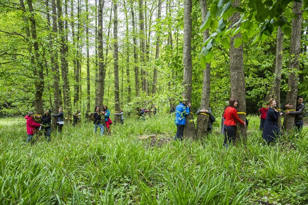 World record in tree hugging