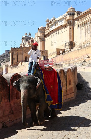 Mahut leaning on his elephant and using a mobile phone