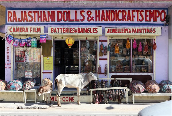 Holy cow and calf in front of a souvenir shop