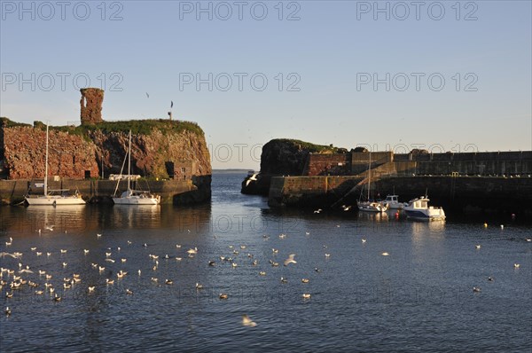 Small fishing port