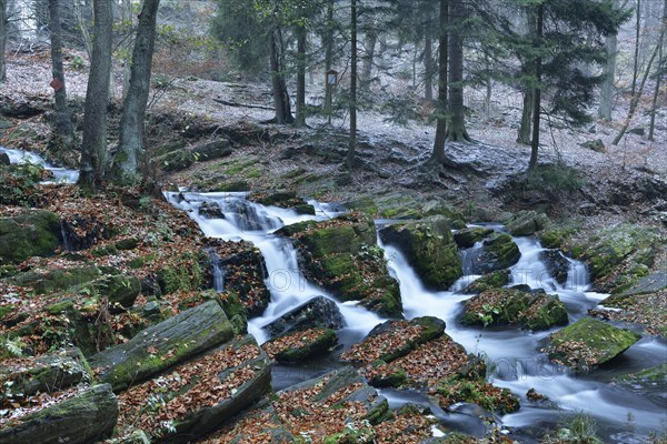 Waterfall in the Selke River in autumn