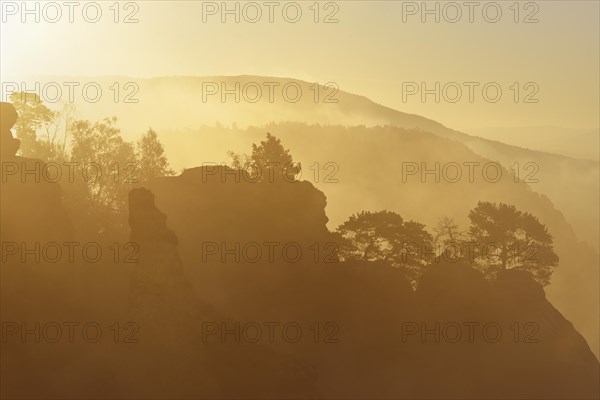 Trees with backlighting on the rocks of Schrammsteine ??in the morning mist
