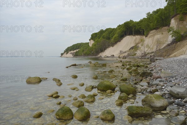 Steep coast with chalk cliffs at sunrise