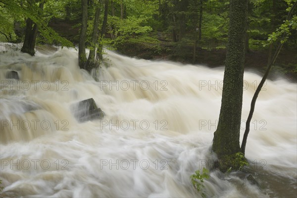 Waterfall on the Selke River during a flood