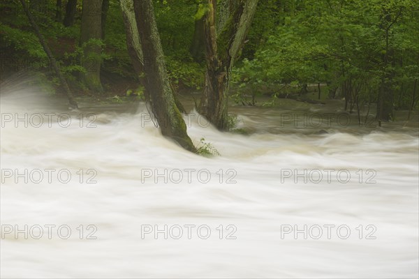 Waterfall on the Selke River during a flood