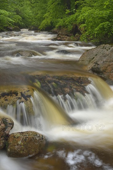 Water flowing over stones and rocks in a mountain stream