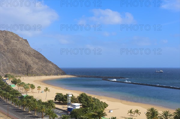 Beach of Playa de Las Teresitas