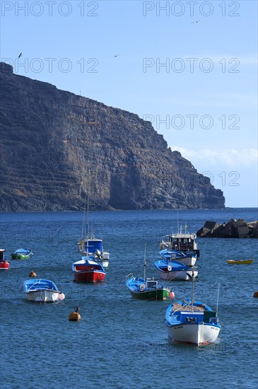 Fishing boats in the harbour of Vueltas