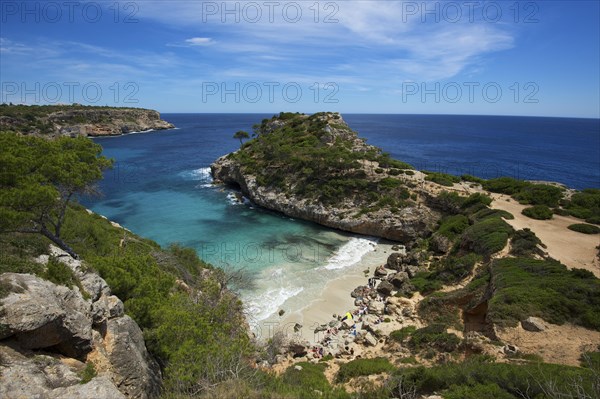 Bay Calo des Moro