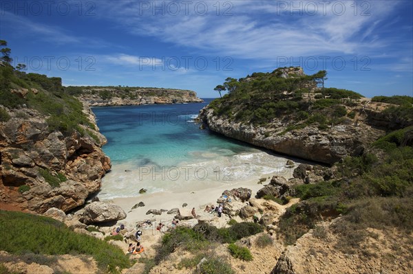 Bay Calo des Moro