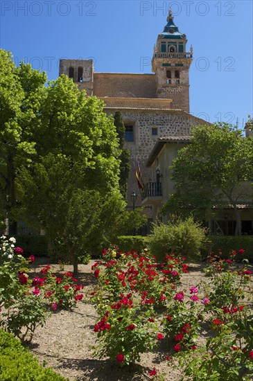 Garden of the Charterhouse or Royal Carthusian Monastery of Valldemossa