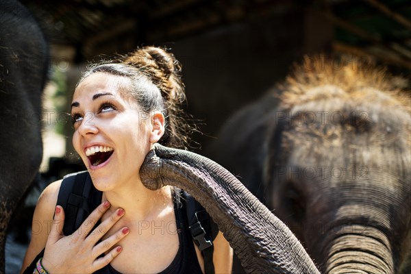 Elephant playing with tourist at an elephant camp