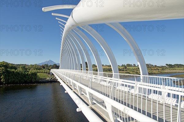 Te Rewa Rewa Bridge