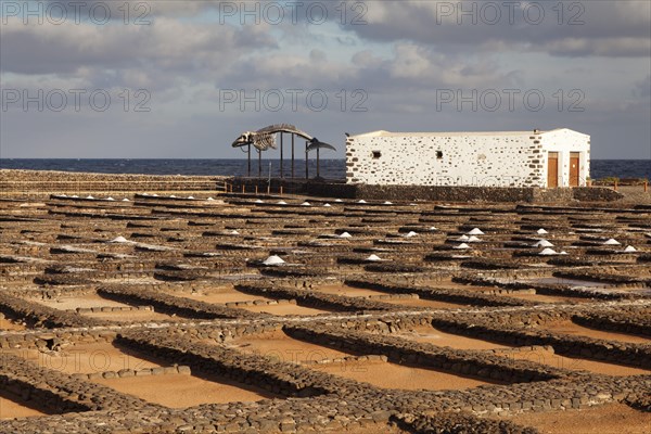 Las Salinas