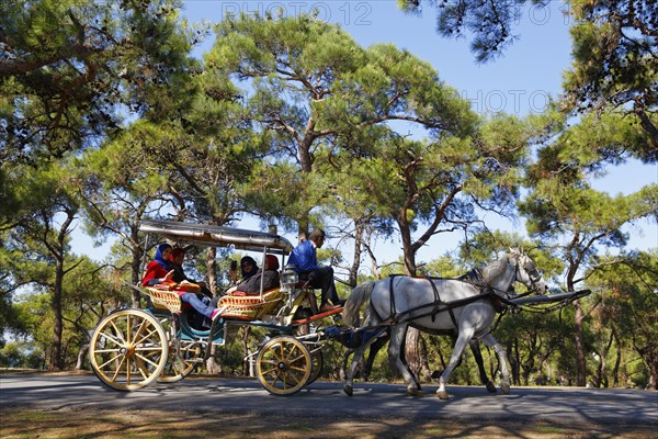 Horse-drawn carriage