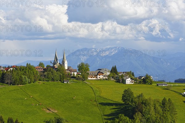 Town of Diex with pastures