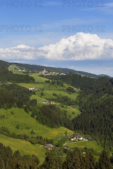 Town of Diex with pastures and forests