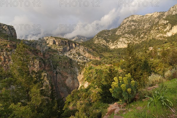 Kelebek Vadisi or Butterfly Valley