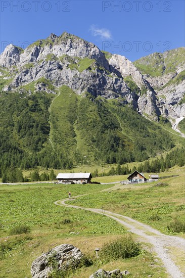 Ingridalm mountain pasture in Frohnbach Valley