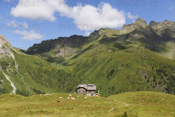 Hochweisssteinhaus mountain hut