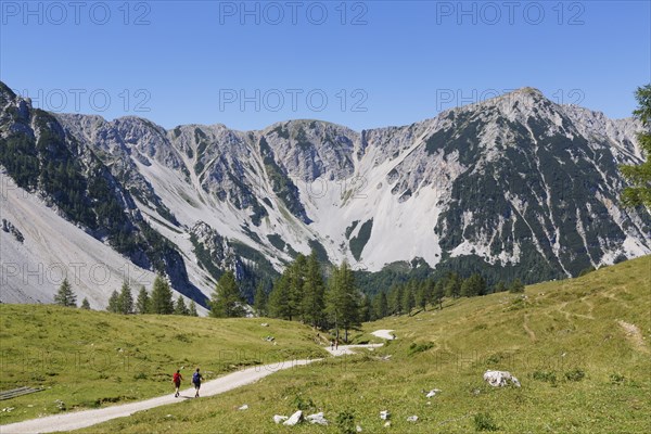 Matschacher Alm mountain pasture with Hochstuhl Mountain