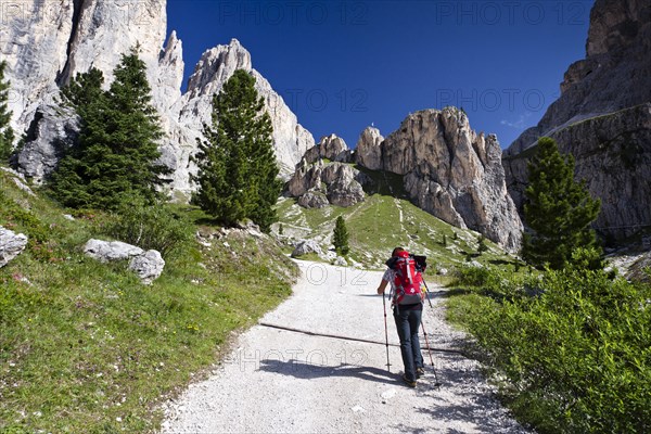 Hiker during the ascent of Kesselkogel Mountain