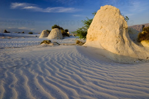 Gypsum dunes of Las Arenales in Cuatro Ciénegas Nature Reserve