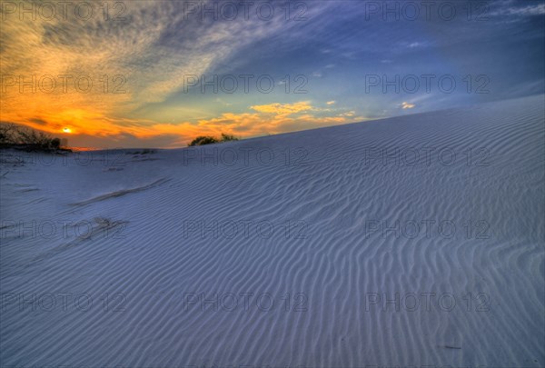 Gypsum dunes of Las Arenales in Cuatro Ciénegas Nature Reserve