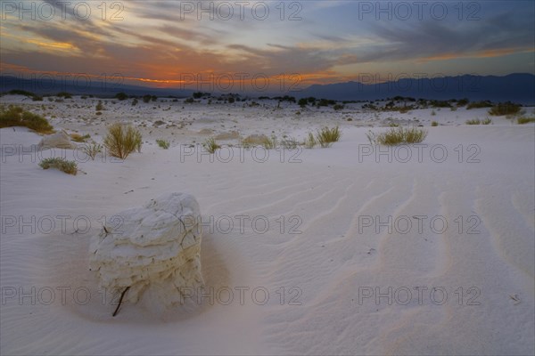 Gypsum dunes of Las Arenales in Cuatro Ciénegas Nature Reserve