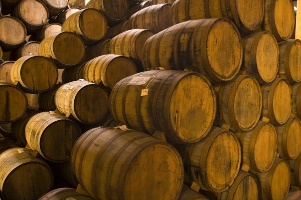 Wooden barrels with tequila
