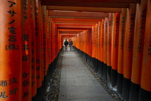 Pedestrian at Fushimi Inari-Taisha