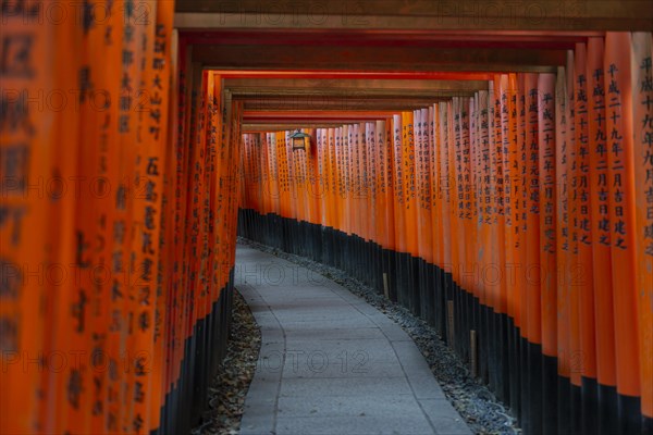 Fushimi Inari-Taisha