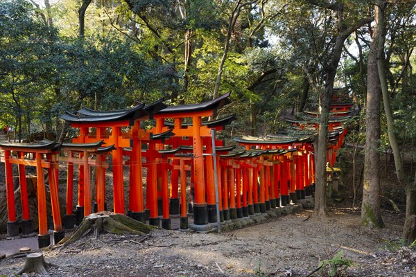 Fushimi Inari Taisha