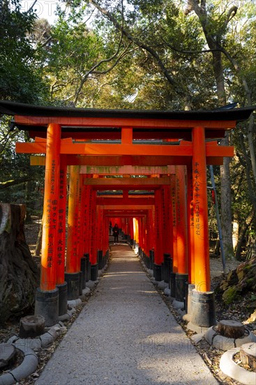 Fushimi Inari Taisha